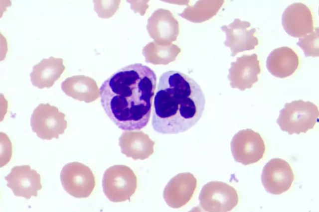2 f4577